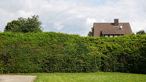 GeNi, Maßregelvollzug, Moringen, Niedersachsen